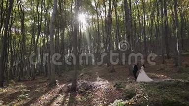 在森林公园和新娘新郎。 新婚夫妇。 幸福家庭